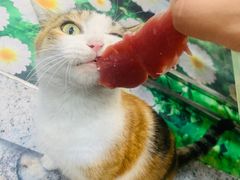 -郭记原生态烤羊腿(长宁路店)