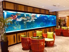 -弘安丽水温泉酒店