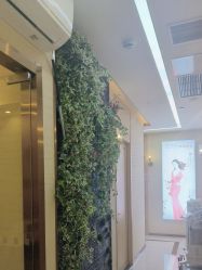 -芳朵美容养生SPA