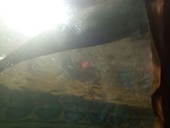 -波塞冬旅游度假区