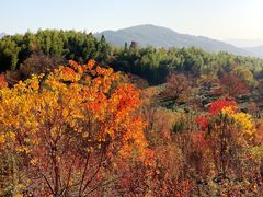 -塔川景区