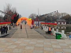 -曹州牡丹园