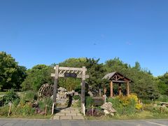 -上海共青森林公园