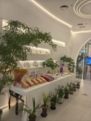 -紫琪尔·匠心连锁·胸部护理养护