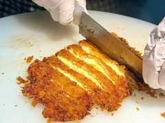 -山东农业大学(岱宗校区)