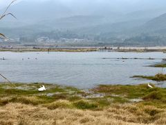 -腾冲北海湿地