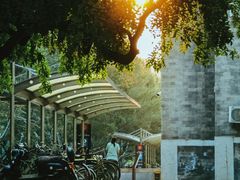 -中央民族大学