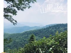 -莫干山风景区