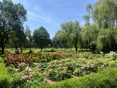 -洛阳市隋唐城遗址植物园
