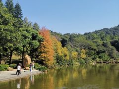 -云溪植物园