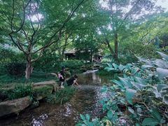-中国茶叶博物馆(双峰馆区)