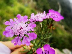 -白草畔自然风景区