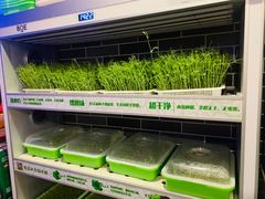-重庆地瓜老火锅(广渠门店)