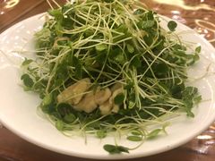 -翠清酒家(万丰路店)