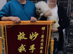 -康成宠物医院24H·CT·核磁共振