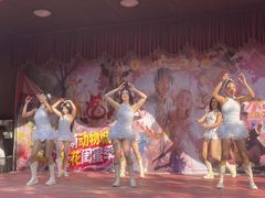 -灵玲国际马戏城