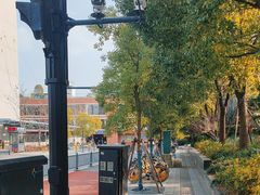 -丹东路渡口(轮渡站)