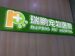 -瑞鹏宠物医院·微创内窥镜·骨外科·牙科(翠竹分院)
