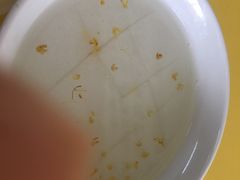 杏仁豆腐-三元梅园(永定路店)