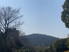 -宝界山林公园