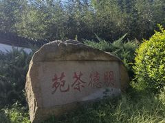 -北京凤凰岭