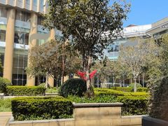 -喜来登由由大酒店九州膳坊中餐厅