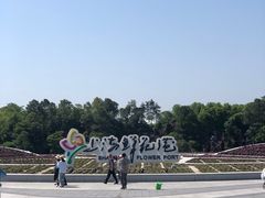-上海鲜花港