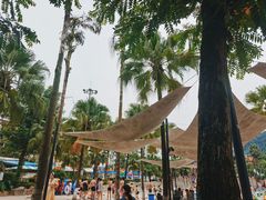 -重庆海昌加勒比海水世界