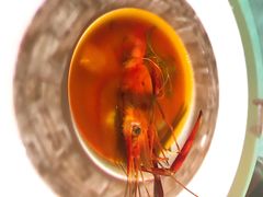 马赛海鲜汤bouillabaisse-橘洲1910花园江景西餐厅