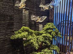 -上足·影院足道·SPA(红岭店)