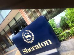 -芽庄喜来登水疗酒店