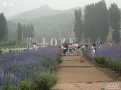 -紫海香堤香草艺术庄园