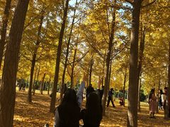 -汉景帝阳陵博物院