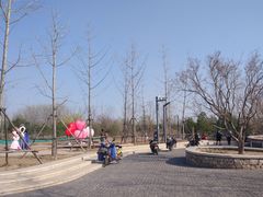 -东郊湿地公园