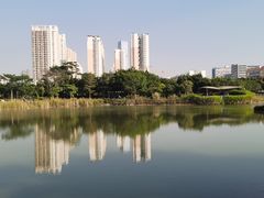 -福田红树林生态公园