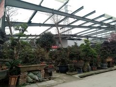 -金科花卉市场