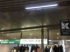 -涩谷区