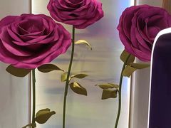 -GANSO元祖食品(沪青平店)