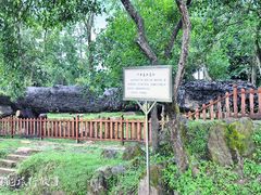 -唐崖土司城遗址