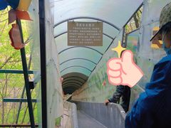 -大连天门山国家森林公园