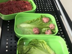 -蚝专家