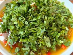 香菜牛肉-石沟大饭店