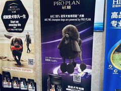 -北京京卫宠物寄养训练中心