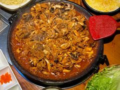 -红辣椒八爪鱼特色韩国料理