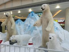 -周鱼小馆石锅酸菜鱼(活力汇店)