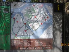 -长洲岛