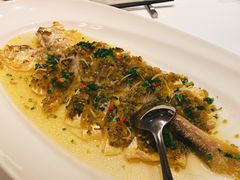 古法清蒸野生大黄鱼-福1015(愚园路店)
