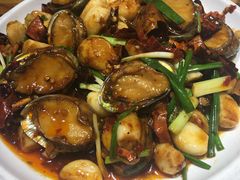 辣炒小鲍鱼-必点海鲜·鲅鱼水饺(鞍山西道店)
