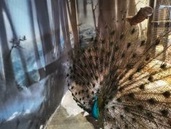 -酷嗒动物文化乐园(cutezoo西溪乐天城店)