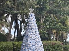 -海南清水湾莱佛士酒店